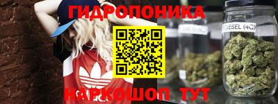 крисы Рузаевка