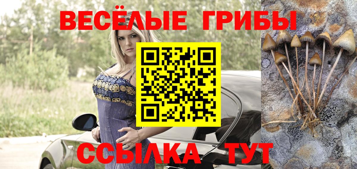 Псилоцибиновые грибы мицелий Киржач