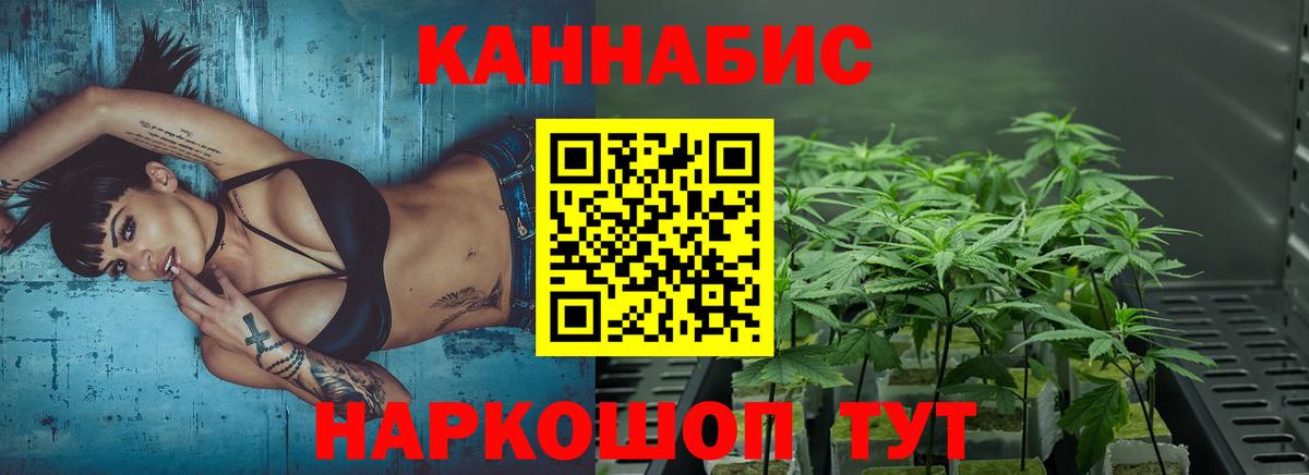 Каннабис OG Kush  Каннабис White Widow  Киржач  Конопля план  Вход с VPN 